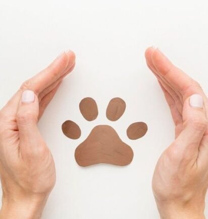 Paw Images - Free Download on Freepik